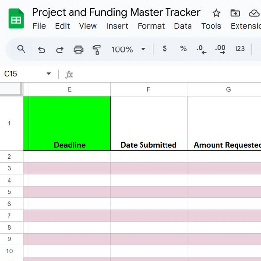 Simple Project & Funding Tracking Workbook